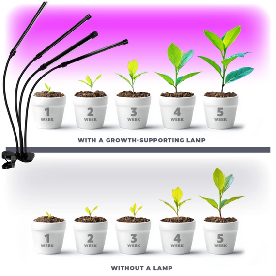 Гнучка фітолампа для рослин на 4 гілки 30 Вт, повний спектр з таймером та регулюванням яскравості, працює від USB | Зображення 4