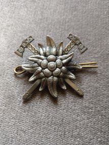 Кокарда "Горная пехота" / бронза