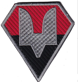 Шеврон ССО (силы специальных операций)