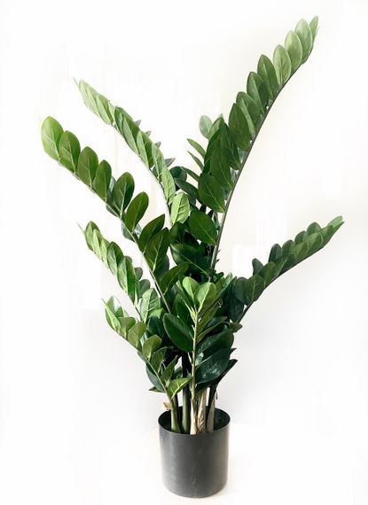 Замиокулькас искусственный в горшке 90 см