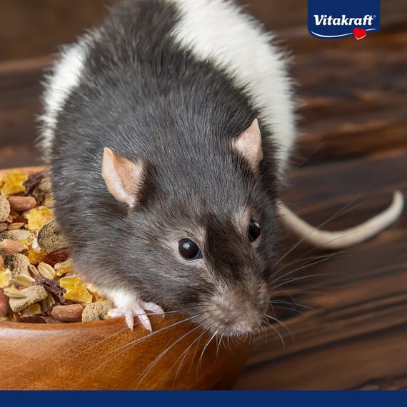 Корм Vitakraft Premium Menu Vital для декоративних гризунів та щурів 1000 г | Зображення 5