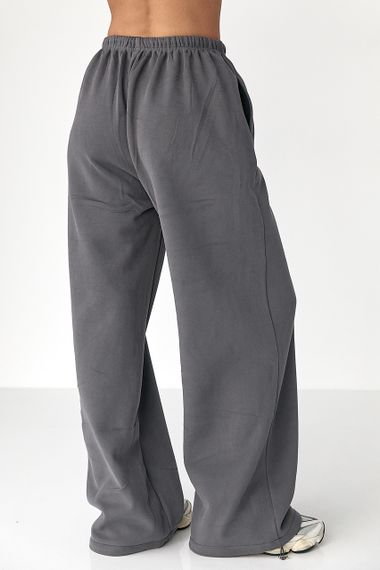 Утеплені однотонні спортивні штани - темно-сірий цвет, L (є розміри) | Зображення 1