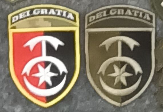 Шеврон 30 бригада 2 шт. (кольоровий + зелений)