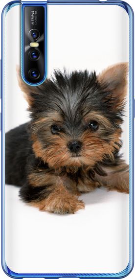 Чехол на Vivo V15 pro Щенок йоркширского терьера "931u-1763-17620"