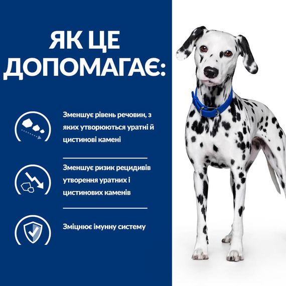 Hills PD Canine U/D Urinary Care сухий корм для собак із захворюваннями сечового міхура 10 кг | Зображення 1