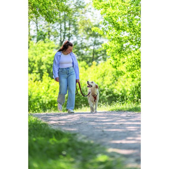 Повідок Trixie Cavo для собак регульований L–XL 2 м діаметр 18 мм рижий-графітовий | Зображення 3