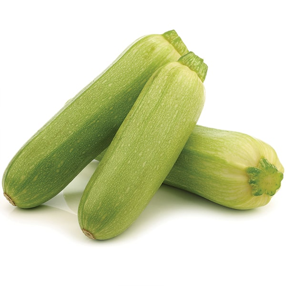 Насіння кабачка Бьянка 2 г (Насіння Країни) | Зображення 1