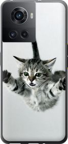 Чехол на OnePlus Ace Летящий котёнок "2322u-2953-17620"