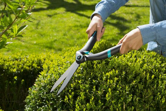 Ножиці для живоплоту Gardena PrecisionCut 12302-20 (40.7/18 см) | Зображення 3