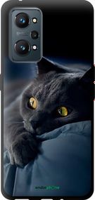 Чохол на Realme GT Neo 2 Димчастий кіт "825b-2489-2448"
