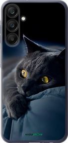 Чохол на Samsung Galaxy A25 5G Димчастий кіт "825u-3495-2448"