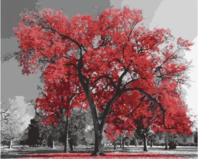 Картина по номерам. Art Craft "Канадский ясень" 40х50 см 10523-AC