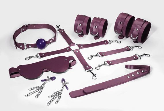 Набір Feral Feelings BDSM Kit 7 Burgundy, наручники, поножі, конектор, маска, падл, кляп, затискачі sexstyle