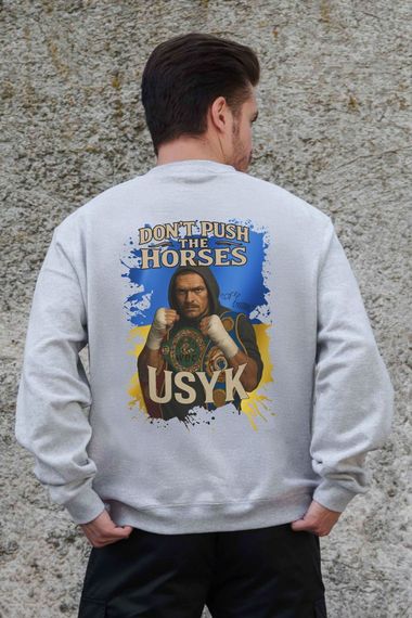 Утеплений оверсайз світшот на флісі з принтом Without Dont Push The Horse Gray