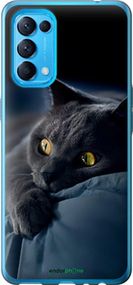 Чохол на Oppo Reno5 Димчастий кіт "825u-2206-2448"