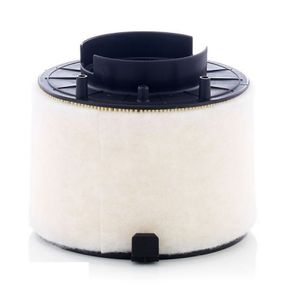 Воздушный фильтр для автомобиля Mann C17009