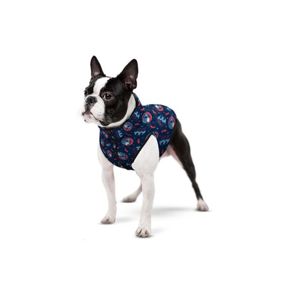 Курточка для собак WAUDOG Clothes з малюнком "Бетмен червоно-блакитний", S40, В 52-55 см, С 36-39 см | Зображення 3