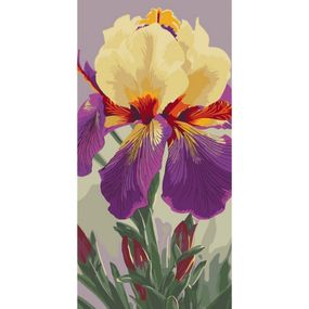 Картина за номерами "Ірис Карнівал Каперс" 13095-AC 40х80 см