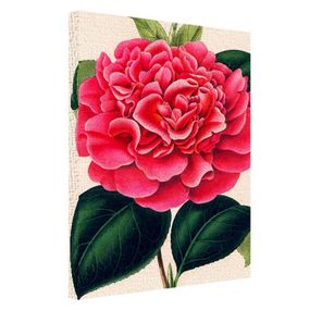 Картина на холсте Пион 45х65 см (H4565_TSV009)