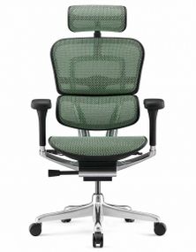 Кресло компьютерное ERGOHUMAN LUXURY 2 (EHL2-AB-HAM-5D-E-L) сетка Т-168-B6 GREEN