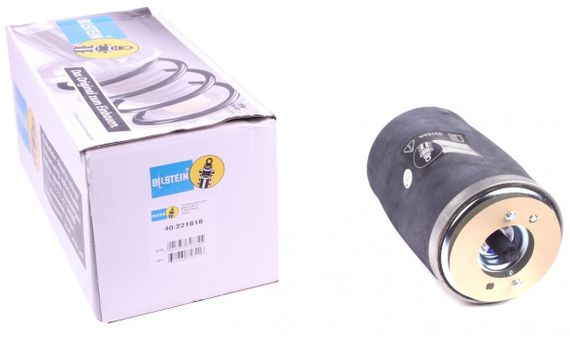 Подушка пневмопідвіски ззаду BMW X5 00-06 R  B3  40-221618