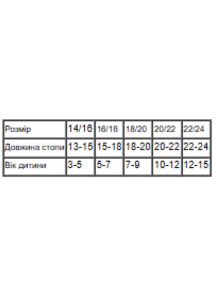 Шкарпетки для дівчинки (літо) Носи своє 22/24 Сірий (p-17187-200278) | Зображення 1
