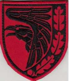 Шеврон 93 ОМБр Холодный Яр