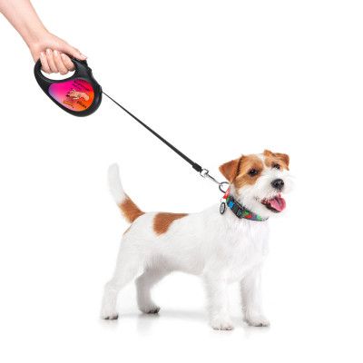Поводок для собак WAUDOG R-leash Конотопские магические войска светоотражающая лента S 5 м (8124-0232-01) | Зображення 3