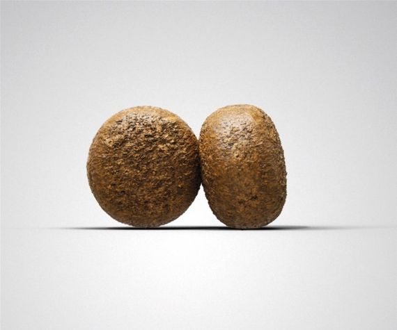 Сухий корм з птахом для цуценят Josera Young Star 12.5 кг | Зображення 1