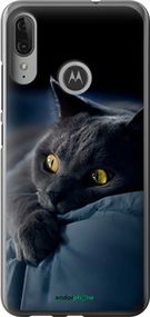 Чохол на Motorola Moto E6 Plus Димчастий кіт "825u-1780-2448"