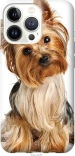 Чохол для Apple iPhone 13 Pro з силікону FCh_075694