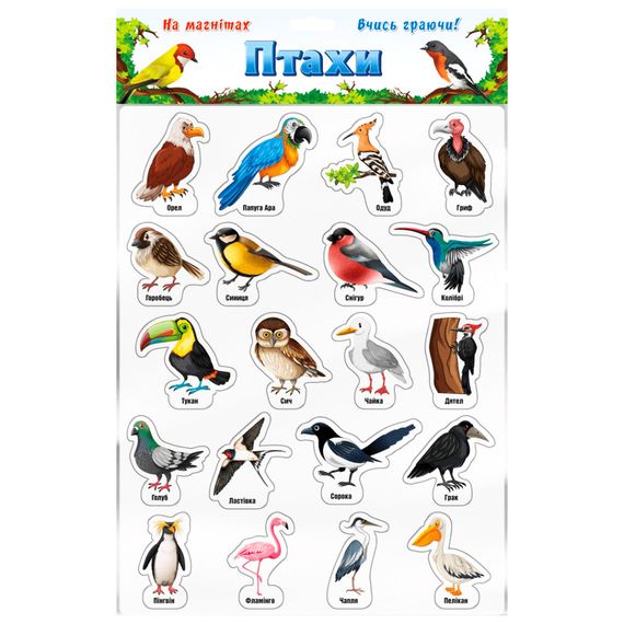 Набір магнітів "Птахи" 1311ATS