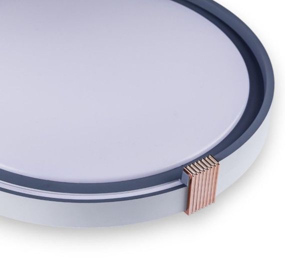 COLISEUM матовий 60W 395*60мм 3000К-6500К з ДК білий з синім | Зображення 1