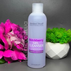 Средство для снятия липкого слоя Jerden Proff Cleanser ежевика 200мл