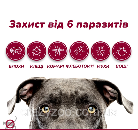 Краплі проти зовнішніх паразитів для собак Elanco Advantix до 4 кг ЦІНА ЗА 1 ШТ 85910388 | Зображення 1