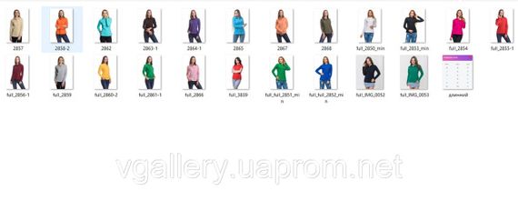 Футболка ПОЛО женская с длинным рукавом - ткань - МИКРОЛАКОСТА M | Зображення 1