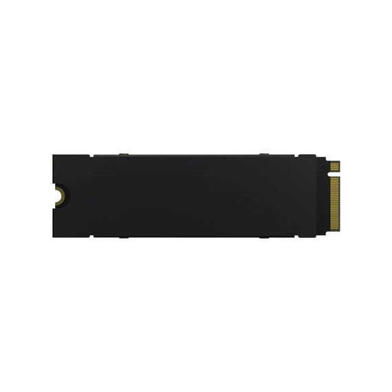 Накопичувач SSD M.2 2280 4TB GM7000 Heatsink Acer Predator (BL.9BWWR.124) | Зображення 2