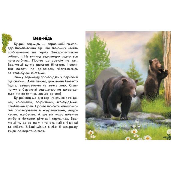 Читаю про Украину по слогам "Животные гор" 366021 с цветными иллюстрациями | Зображення 1