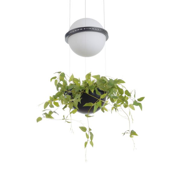 Люстра светодиодная подвесная с растениями 20W NW BK (BL-992S/1) | Зображення 1