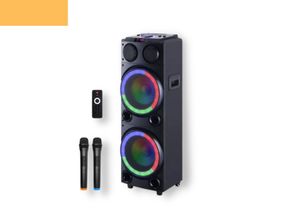 Аккумуляторная акустическая система XPRO HS-TD1020 колонка чемодан 300Вт USB, SD, FM радио, Bluetooth, 2 радиомикрофона, ДУ (MER-15697)