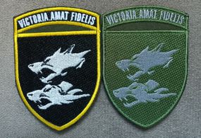 Шеврон 38 ОБрМП - 2шт (кольоровий +зелений)