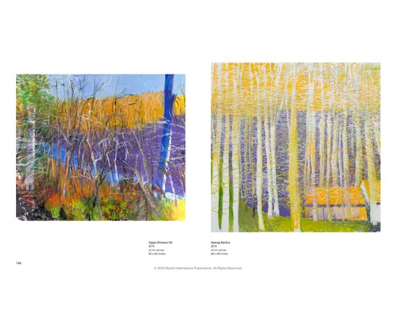 Книга про мистецтво та художників, творчість Вольф Кан. Wolf Kahn: Painting and Pastels, 2010-2020 про пейзажний живопис | Зображення 2