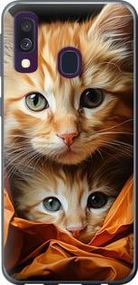 Чохол на Samsung Galaxy A40 2019 A405F Котики 2 із силікону FCh_008330