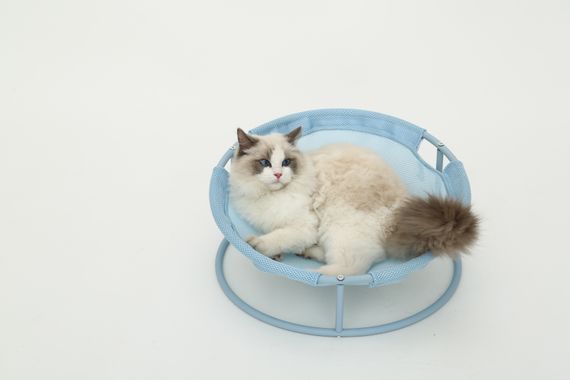 Складаний лежак для домашніх тварин MISOKO Pet bed round, 45x45x22 cm, light blue | Зображення 4