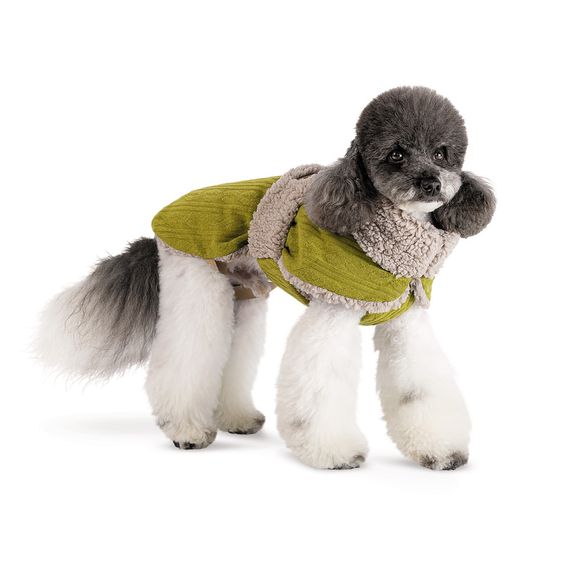 Попона для собак Gigi Pet Fashion, ХХS фісташковий, бежевий | Зображення 1