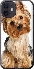 Чехол на iPhone 12 Mini Йоркширский терьер с хвостиком "930u-2071-17620"
