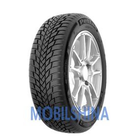 Зимние шины PETLAS SnowMaster 2 (195/60R15 88H)