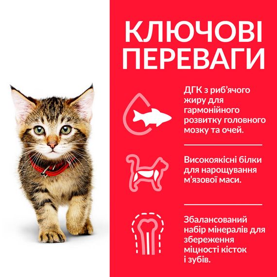 Корм Hill's Science Plan Kitten Tuna сухий з тунцем для кошенят 0.3 кг | Зображення 1