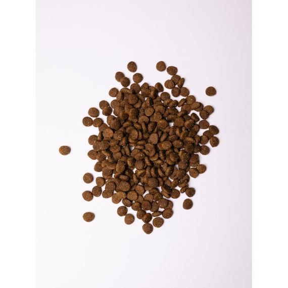 Корм сухий Savory Puppy rich in Fresh Turkey and Chicken для цуценят всіх порід зі свіжою індичкою і куркою 1 кг | Зображення 1