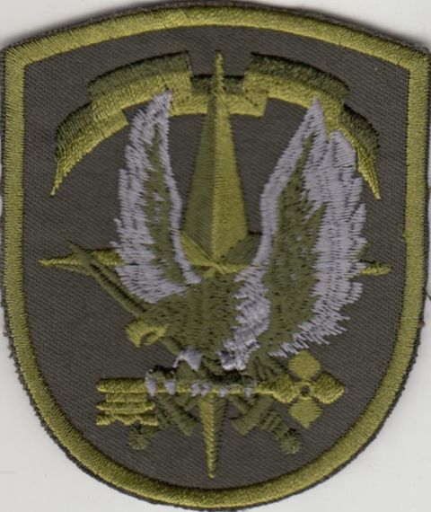 Шеврон розвідка управління (рідкісний) Батальйон охорони та забезпечення розвідки (олива)